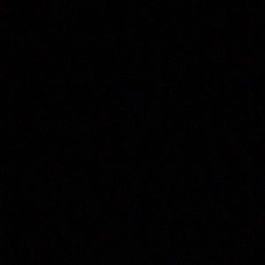 Meet your Posher, Izzy